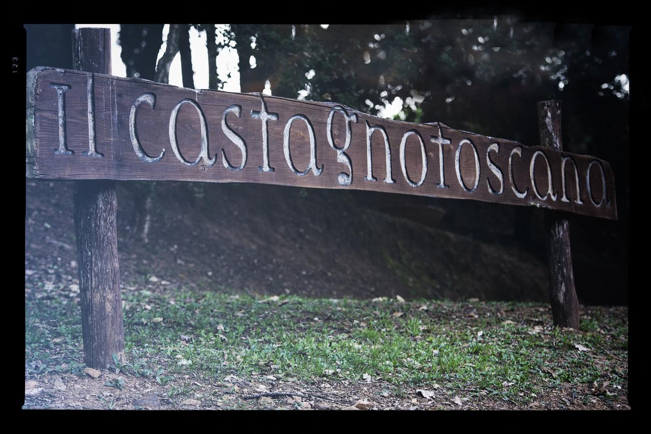 Il Castagno Toscana Campiglia Marittima Exterior foto